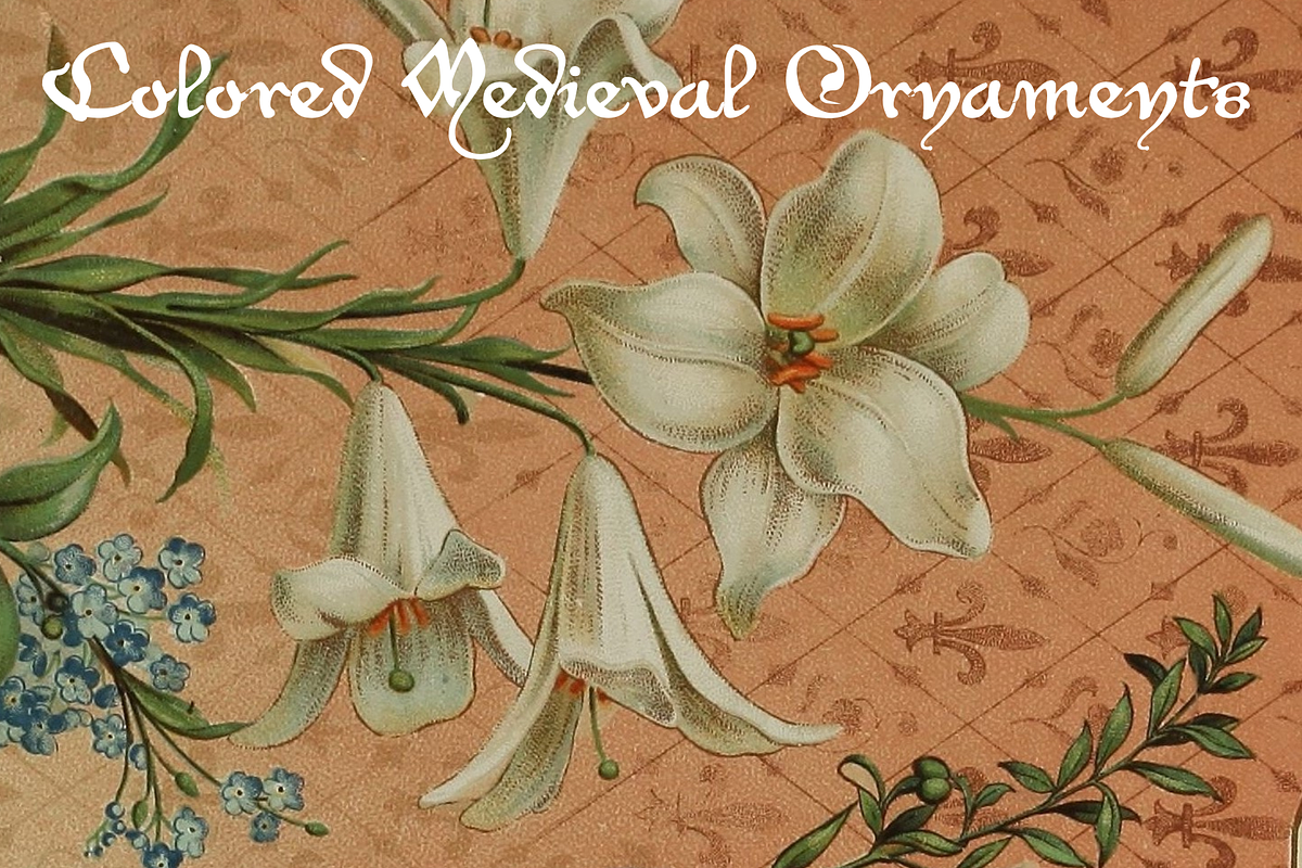 Colored Medieval Ornaments, an Object Graphic by Intellecta Design (Photo 11 of 12)