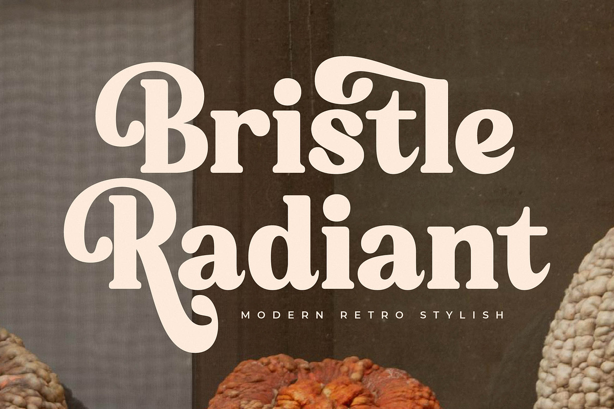 Bristle Radiant Modern Retro Stylish, a Serif Font by Letterena Studios (Photo 1 of 15)
