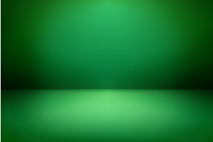 Empty green wide studio room
