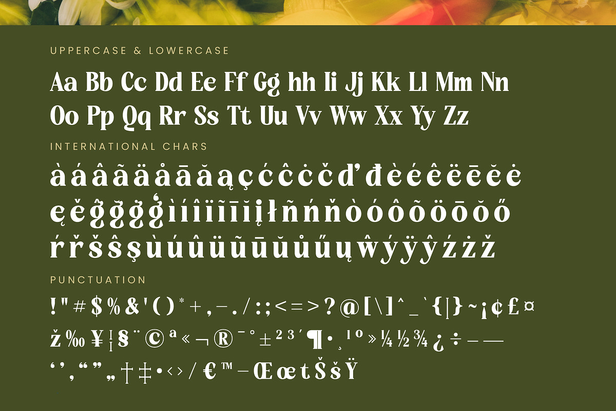 Rusty Drake Bold Serif Display, a Serif Font by timelesstype.co (Photo 18 of 20)