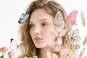 Butterflies Collection, an Object Graphic by Lana Elanor (Thumbnail 10 of 11)