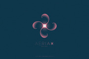 AERIAL Logo Collection, a Branding & Logo Template by Michael Rayback Design (Thumbnail 13 of 20)