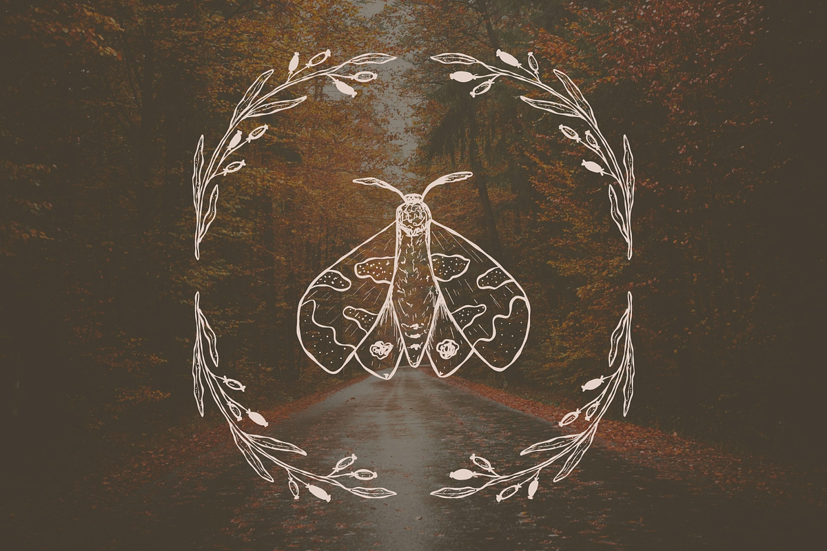 Autumn botanical hand-drawn graphics, a Decorative Illustration by CapriceMeDesigns (Photo 4 of 11)