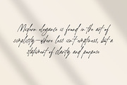 Browntone | Elegant Script, a Script Font by Lemonthe (Thumbnail 8 of 8)