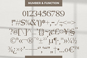 Reyka - Stylish Display Serif, a Serif Font by Hakara Type (Thumbnail 6 of 9)