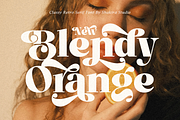 Finestly Natural - Retro Serif, a Serif Font by Shakira Studio (Thumbnail 3 of 10)