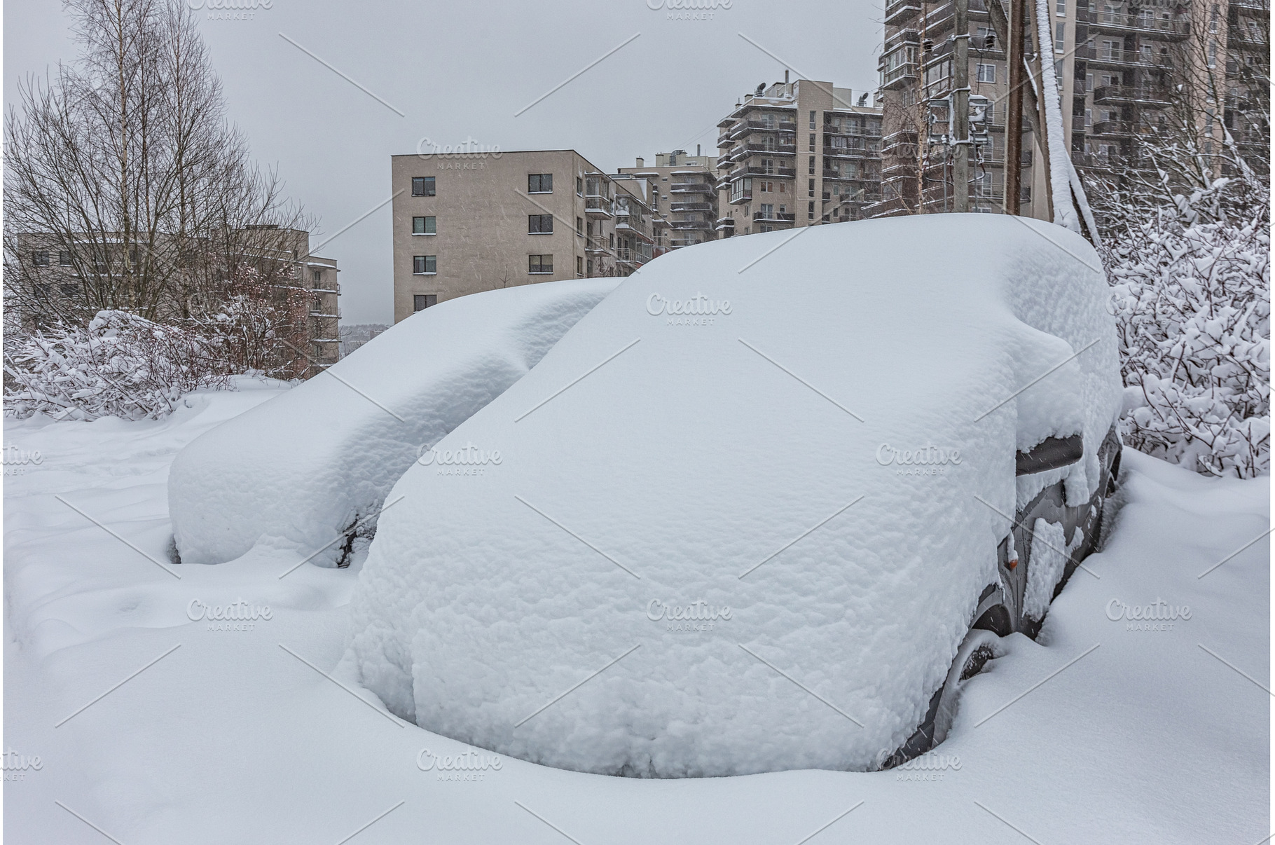 Vehicles covered with snow in the, a Nature Photo by Lukas Jonaitis SHOP