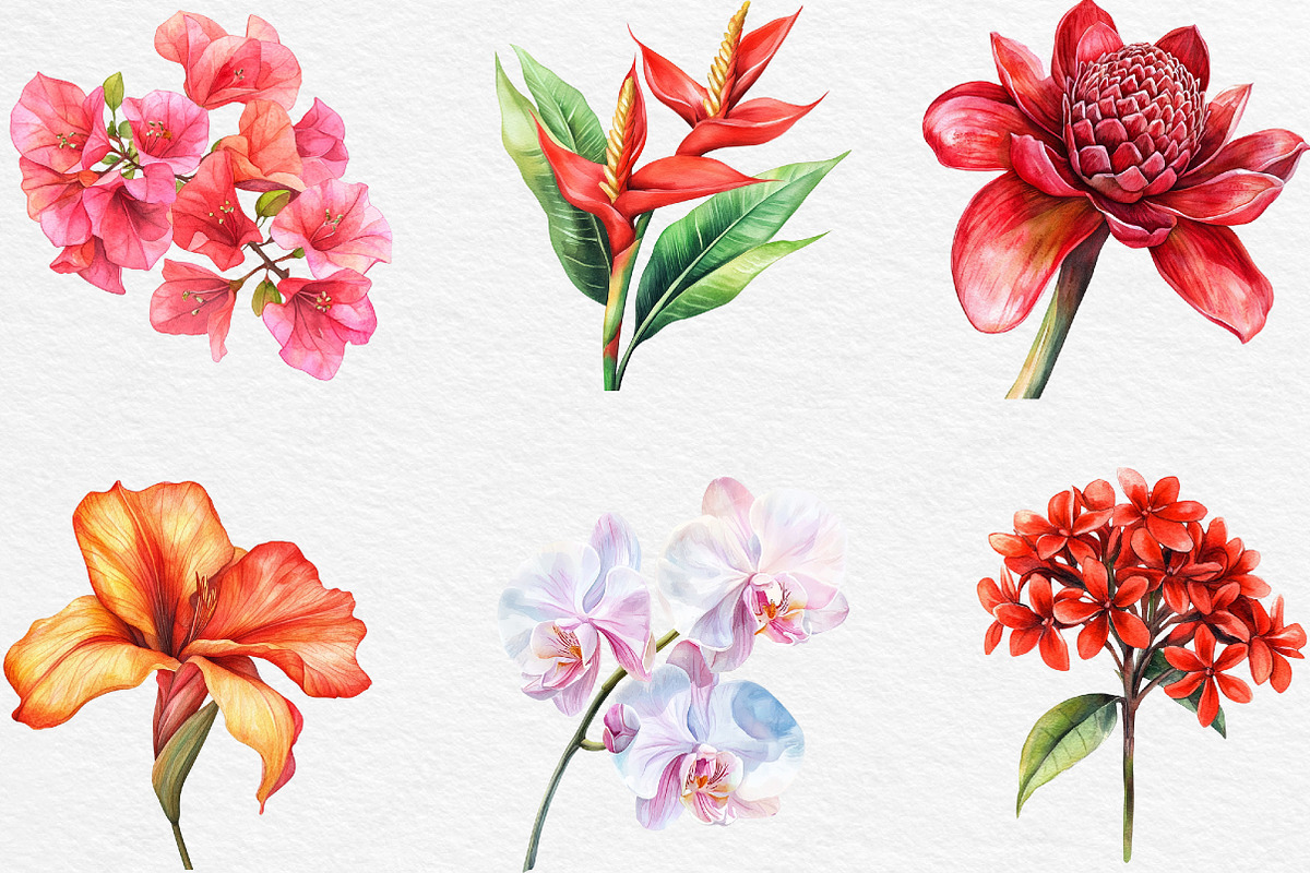 Watercolor Flowers Tropical PNG, an Illustration by Black Bird Studio (Photo 2 of 6)