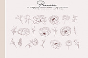 Peonies Hand Draw, an Illustration by Luiz da Rolt Grathwohl (Thumbnail 3 of 8)