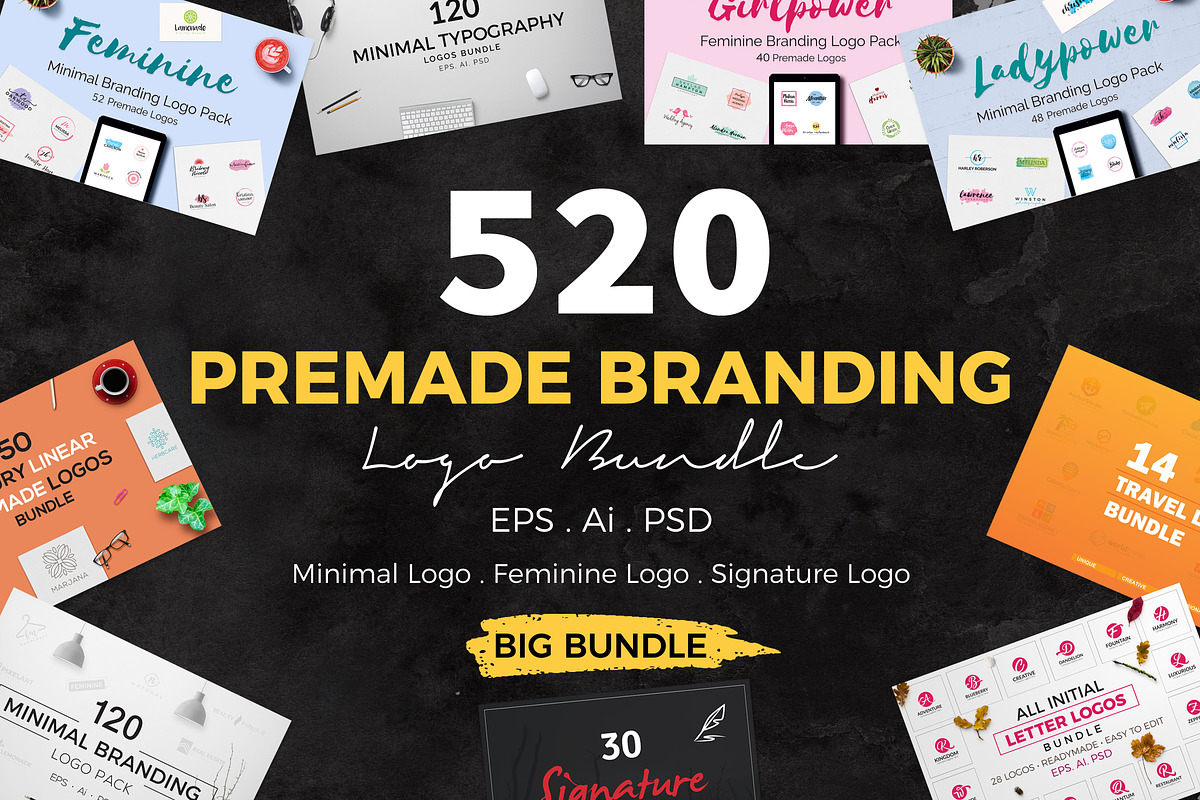 520 Premade Logo Bundle + Bonus, a Branding & Logo Template by XpertgraphicD (Photo 76 of 76)