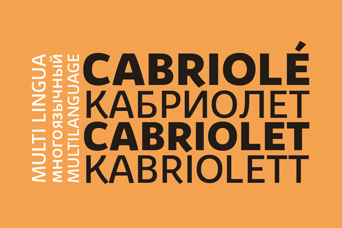 Kabrio - 56 Fonts, a Sans Serif Font by Zetafonts (Photo 11 of 11)
