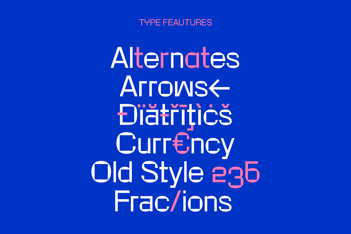 Rotonto family, a Sans Serif Font by SUPERNULLA (Photo 2 of 7)