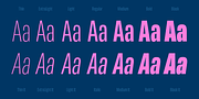Maleo, a Sans Serif Font by Tokotype (Thumbnail 3 of 12)