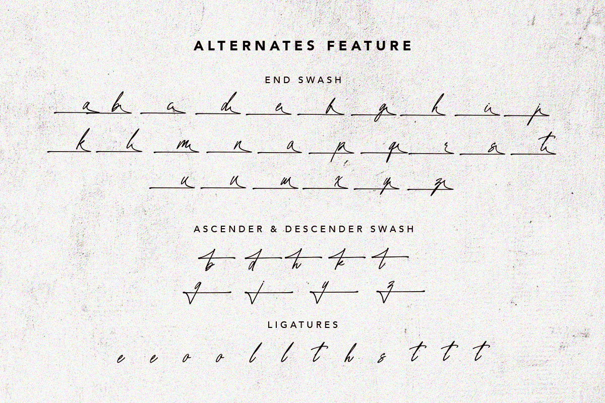 Raleigh Handwriting - Signature Font, a Script Font by Bale Type (Photo 9 of 9)