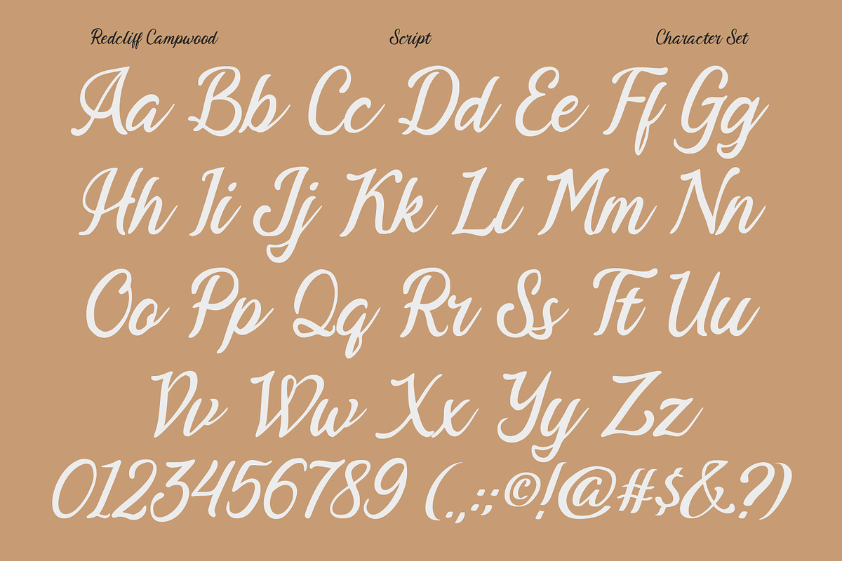 Redcliff Campwood, a Serif Font by din-studio.com (Photo 11 of 16)