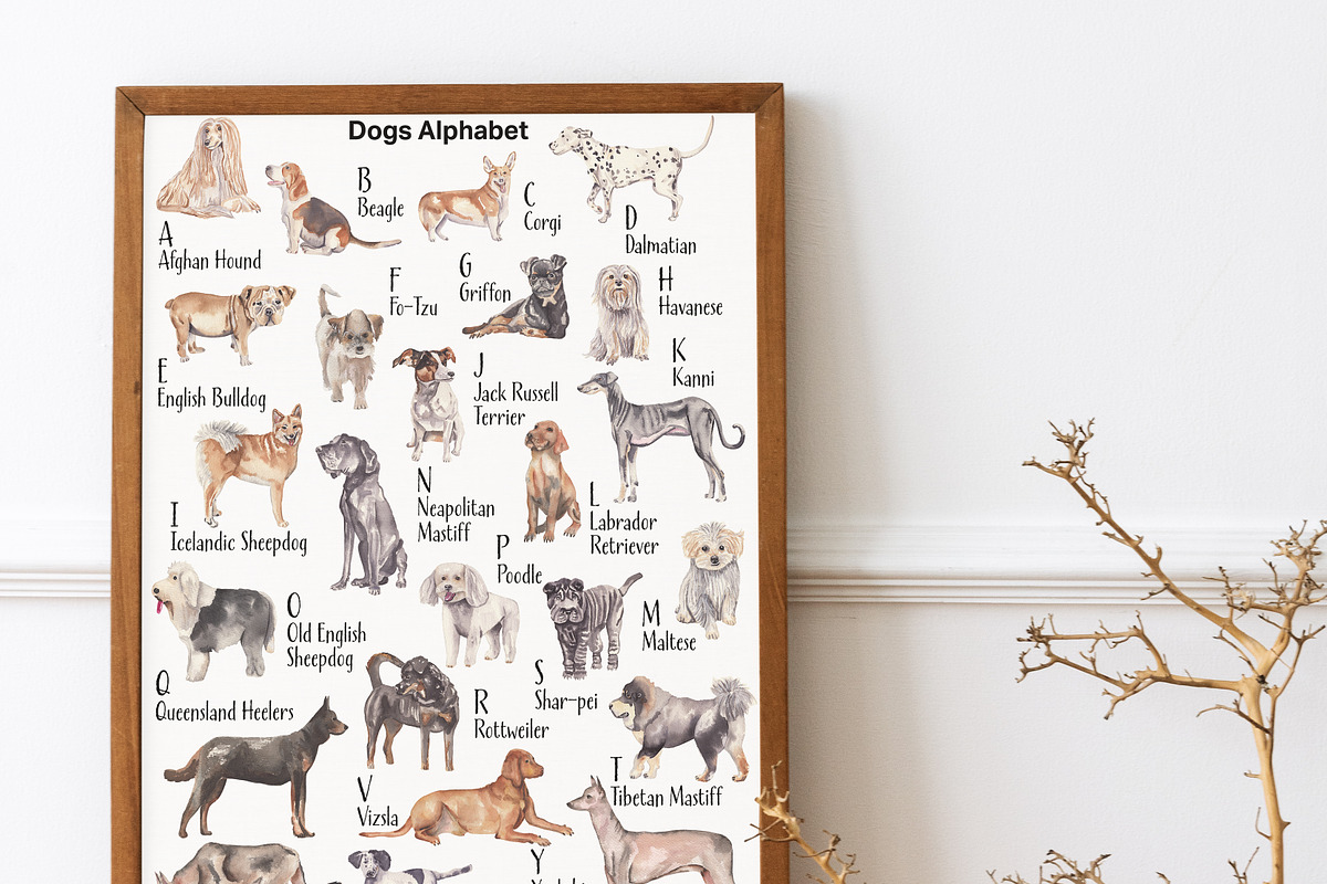 Dogs Alphabet, clipart & patterns, an Animal Illustration by Visual Animal (Photo 2 of 8)