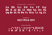 Sregko - Retro Ligatures Font, a Serif Font by Iqsiart Studio (Thumbnail 6 of 8)