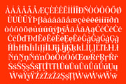 Anria Typeface, a Serif Font by Khoir (Thumbnail 9 of 12)