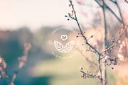 ORGANIC AESTHETIC LOGO COLLECTION, a Branding & Logo Template by Luna Dreams (Thumbnail 5 of 10)
