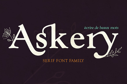 Askery Font Family, a Slab Serif Font by Design 265