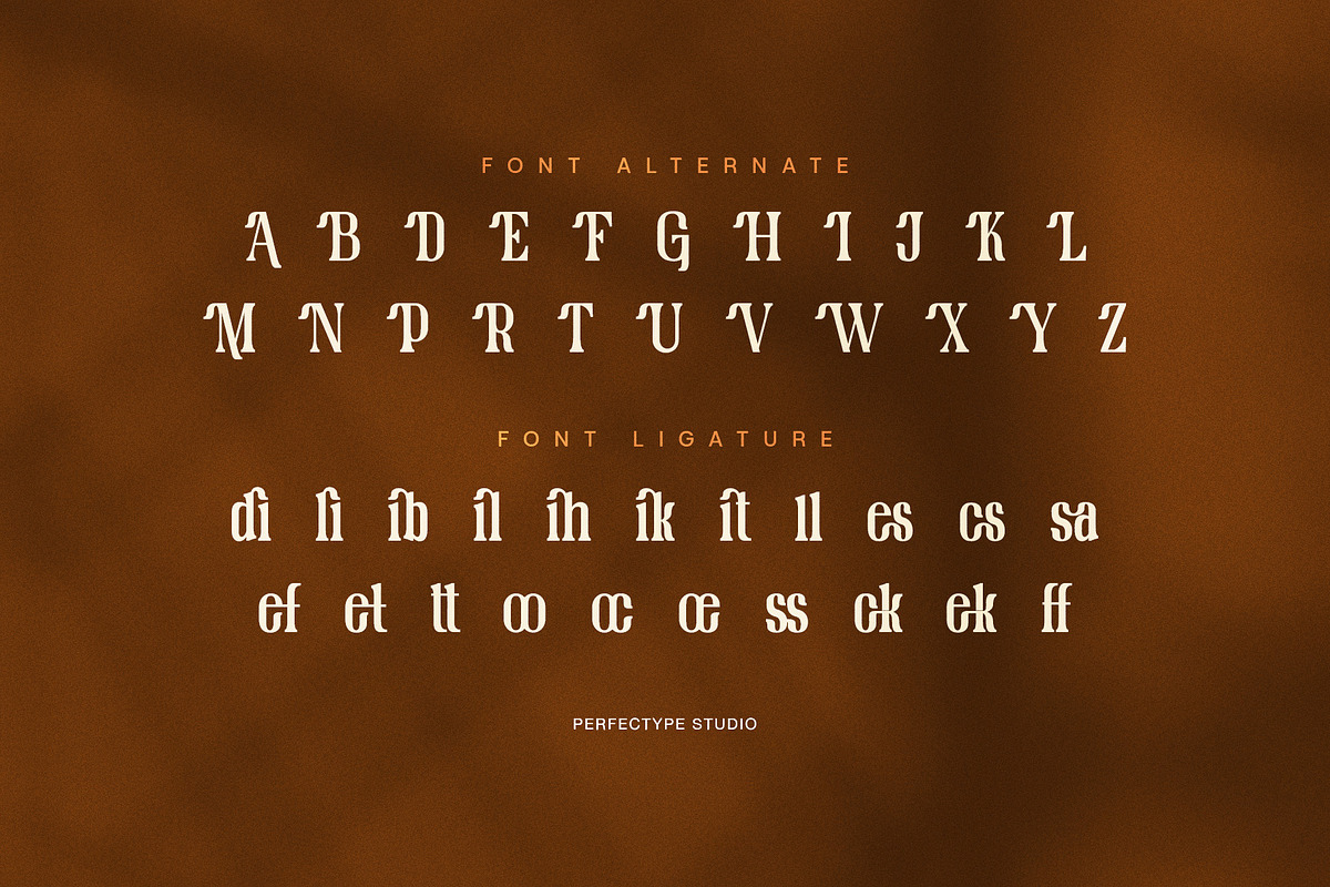 Qlimes modern retro serif font, a Serif Font by Perfectype (Photo 8 of 8)