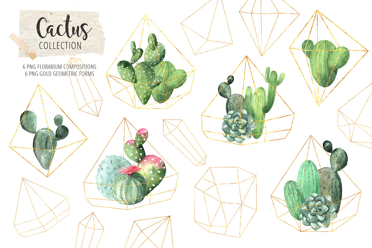 Watercolor Exotic Cactus Collection, a Texture Illustration by LarysaZabrotskaya (Photo 4 of 11)