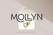 Mollyn Typeface, a Sans Serif Font by alit design (Thumbnail 1 of 17)