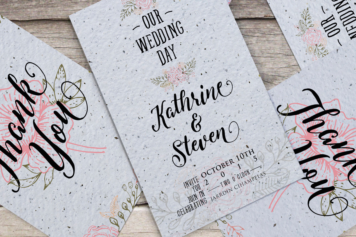 Levitte Script, a Script Font by Flavortype (Photo 3 of 5)