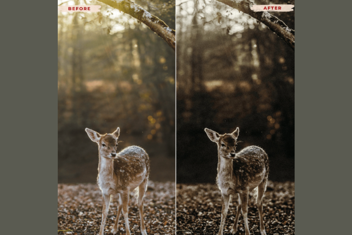 FLAT WHITE Mobile Lightroom Presets preview 8