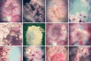 Portrait Backdrops, an Illustration by Kandace Lalo Designs (Thumbnail 4 of 4)