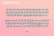 Brodille Typeface, a Font by alit design (Thumbnail 10 of 15)