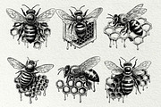 Honeycomb Bee SVG Graphics, a Decorative Illustration by DENIDigitalArtSudio (Thumbnail 3 of 6)
