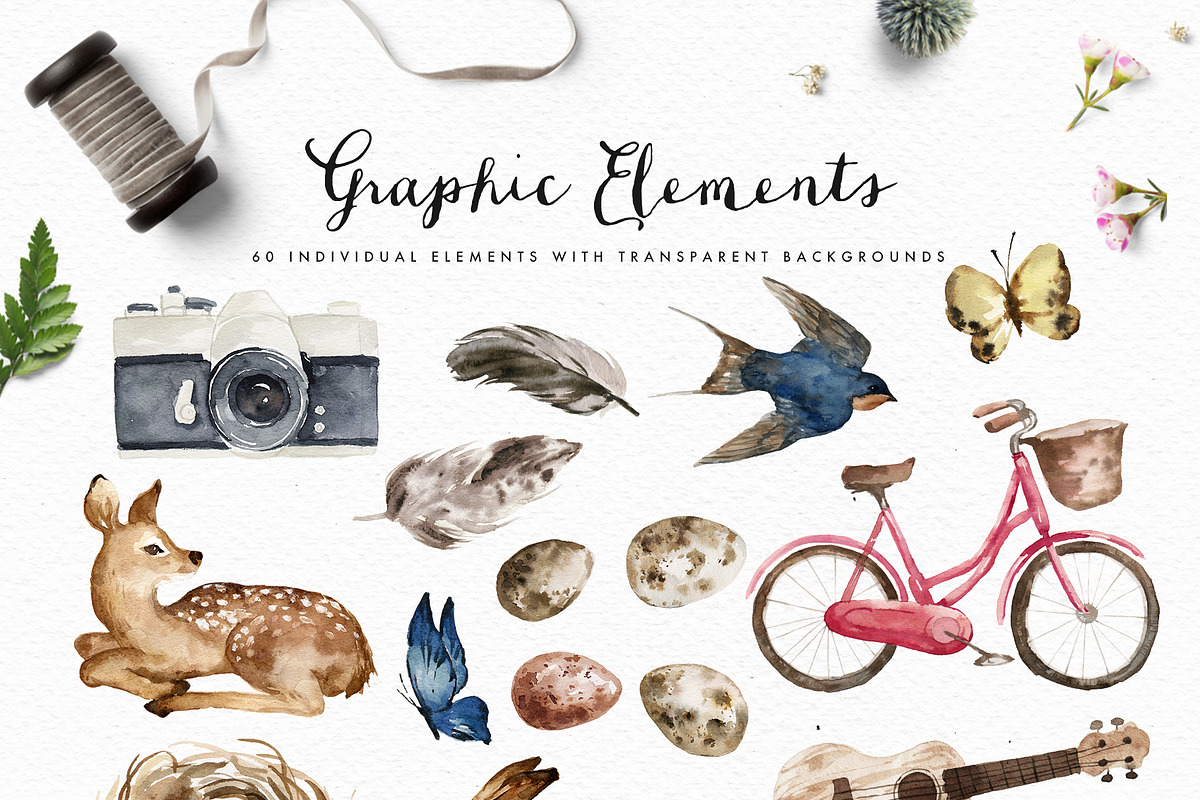 Vigorous Spring-Graphic Design Set, an Animal Illustration by Graphic Box
