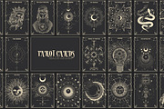 1300+ Aphrodites Astery Bundle, an Object Illustration by Chikovnaya (Thumbnail 16 of 20)
