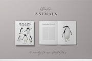 Watercolor penguins. Winter animals, an Animal Illustration by Diana Askarova Art (Thumbnail 2 of 6)