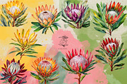 King Protea Watercolor Collection, a Decorative Illustration by Karliefie (Thumbnail 2 of 5)