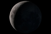 Cosmic Photoshop Brush Bundle, a Brush Add-On by Dene Studios (Thumbnail 11 of 32)