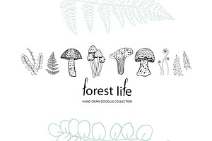 Doodle ferns and mushrooms