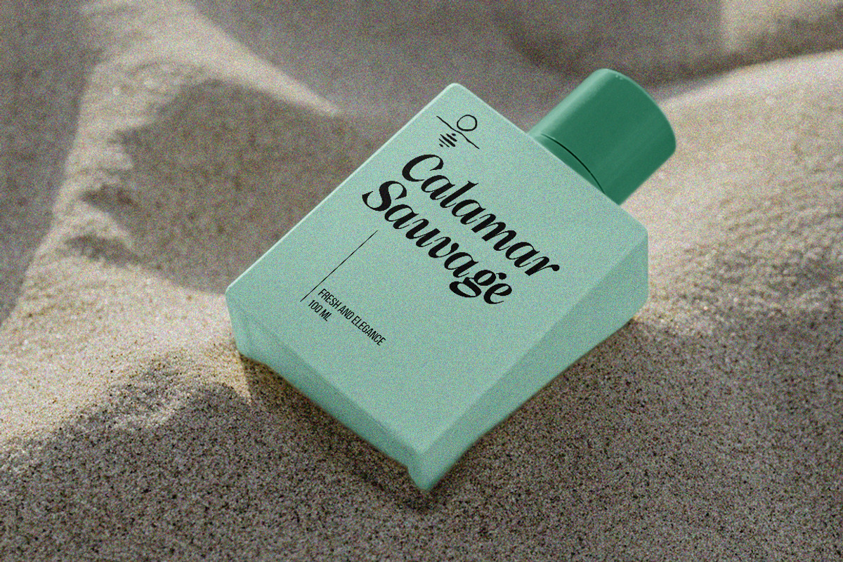 Milver Light Walking | 7 Font, a Serif Font by Natural Ink Studio (Photo 11 of 15)
