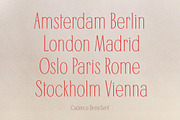 Cadence Demi-Serif Display Font, a Serif Font by Type and Graphics Studio (Thumbnail 9 of 28)