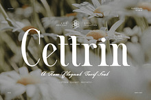Cettrin Modern Serif Font