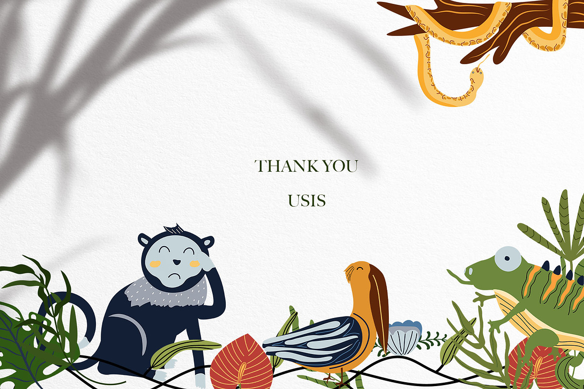 Jungle Animals collection, an Animal Illustration by Usis (Photo 20 of 20)