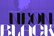 Akadis Neue - Contemporary Serif, a Serif Font by Tondi Type Studio (Thumbnail 9 of 19)