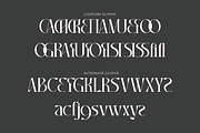 Chadenia, a Serif Font by Muksal Creative (Thumbnail 9 of 9)