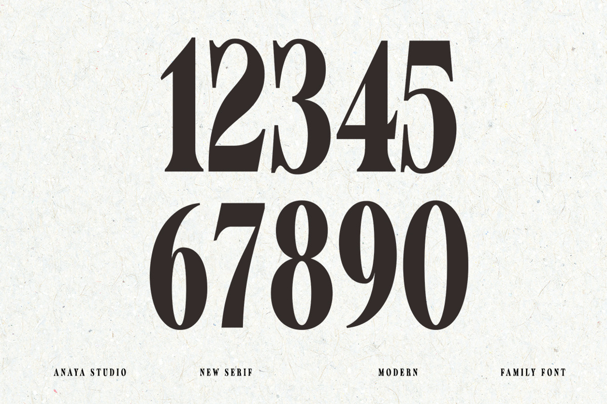 Nimuhinz, a Serif Font by AnayaStudio (Photo 5 of 8)
