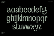 Dx Sillage Elegant Serif Font, a Serif Font by Dirtyline Studio (Thumbnail 4 of 17)