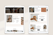 Influencer Showit Website Template, a Websites & App Template by Sugar Studios (Thumbnail 4 of 6)