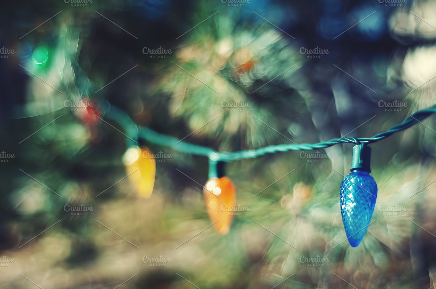 Christmas Lights in a Live Tree, a Holiday Photo by Solefield