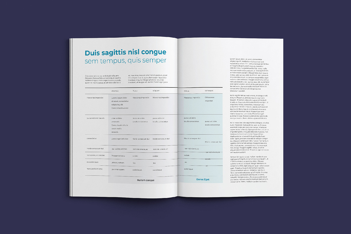 KEPLER Corporate Report Design, a Brochure Template by astrographic (Photo 9 of 12)