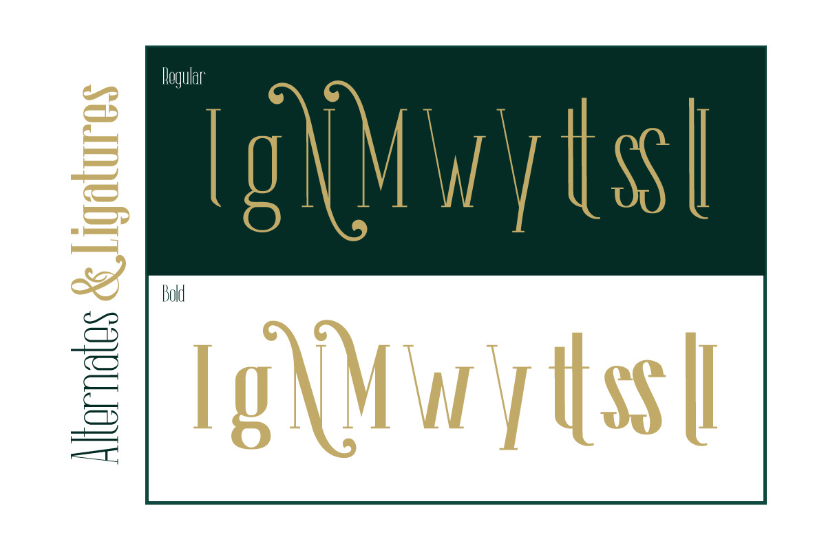 The Lingke - Modern Serif Font, a Serif Font by Afkari Studio (Photo 4 of 14)